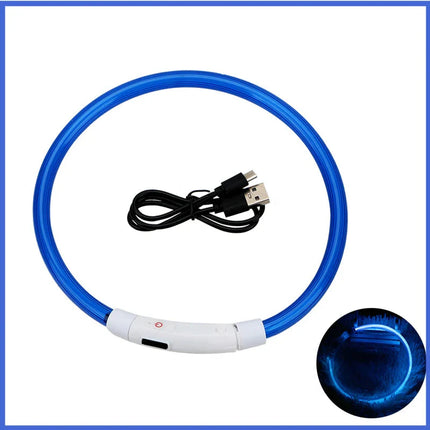 USB Rechargeable LED Glowing Dog Collar – Adjustable Night Safety