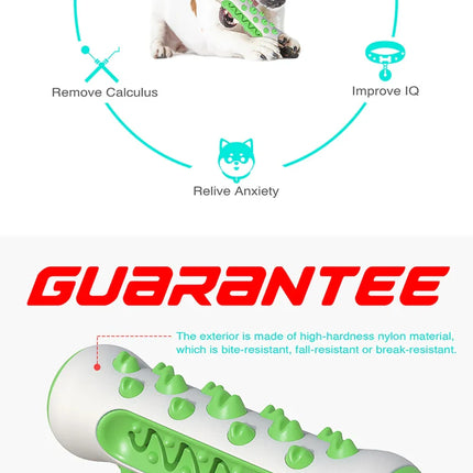 Chew-Resistant Rubber Dog Toy for Dental Health