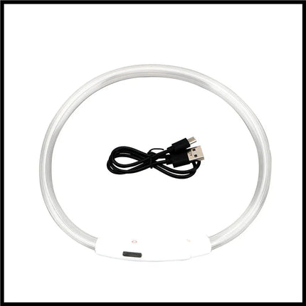 USB Rechargeable LED Glowing Dog Collar – Adjustable Night Safety