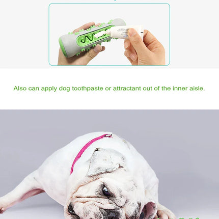 Chew-Resistant Rubber Dog Toy for Dental Health