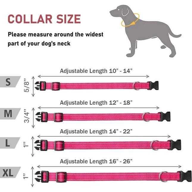 Reflective Adjustable Nylon Dog Collar Strap – Safety Traction Rope