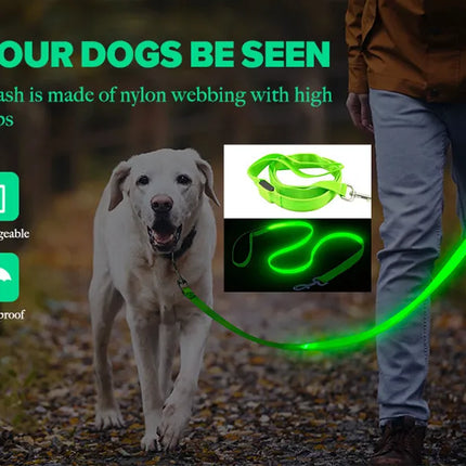 USB Rechargeable LED Glowing Dog Collar – Adjustable Night Safety