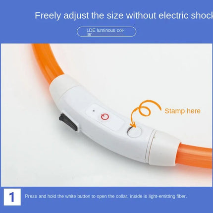 USB Rechargeable LED Glowing Dog Collar – Adjustable Night Safety