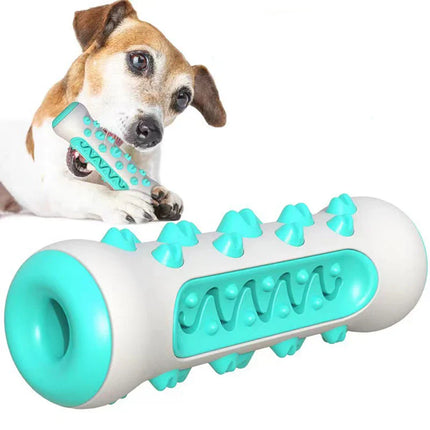Chew-Resistant Rubber Dog Toy for Dental Health