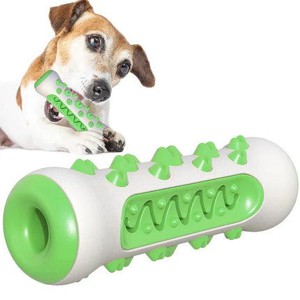 Chew-Resistant Rubber Dog Toy for Dental Health