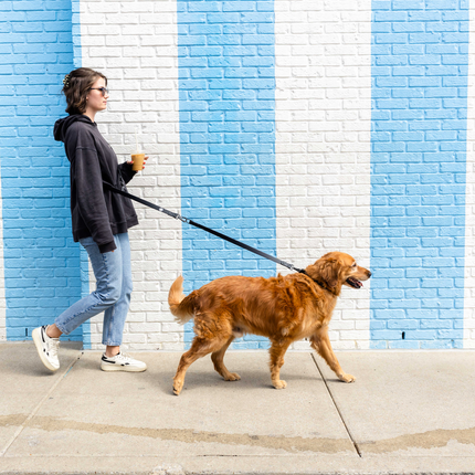 The Modern Dog Company - Black Extension Leash