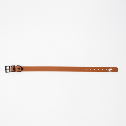 The Modern Dog Company - Coco Brown Collar (Weather + Odor Resistant)