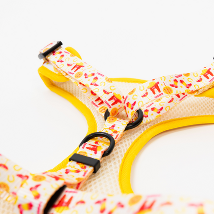 The Modern Dog Company - Yeehaw Harness