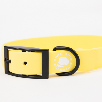 The Modern Dog Company - Daffodil Yellow Collar (Weather + Odor Resistant)