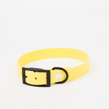 The Modern Dog Company - Daffodil Yellow Collar (Weather + Odor Resistant)