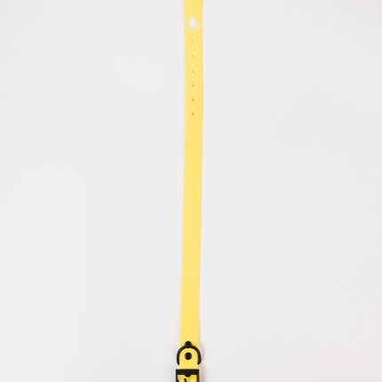 The Modern Dog Company - Daffodil Yellow Collar (Weather + Odor Resistant)