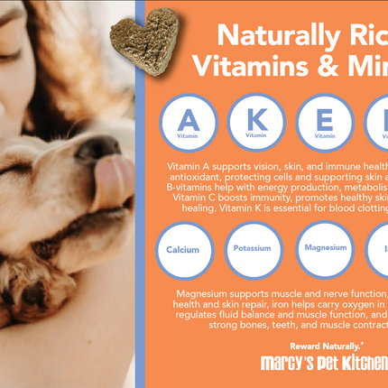 Marcy's Pet Kitchen- All Natural, Vegan Pumpkin Biscuit Dog Treats - Homemade-Vet Approved- Vegan, Gluten Free, Human Grade Ingredients, Made in The USA, Healthy Pumpkin Dog Treats