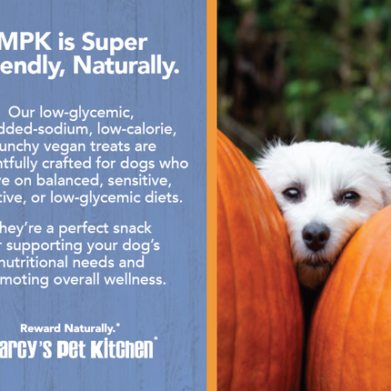 Marcy's Pet Kitchen- All Natural, Vegan Pumpkin Biscuit Dog Treats - Homemade-Vet Approved- Vegan, Gluten Free, Human Grade Ingredients, Made in The USA, Healthy Pumpkin Dog Treats