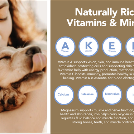 All-Natural Peanut Butter Dog Treats - Homemade-All Natural Dog Treats for Digestive Help - Gluten Free Healthy Human Grade Dog Biscuits for Sensitive Stomachs- USA Made