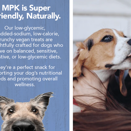 All-Natural Peanut Butter Dog Treats - Homemade-All Natural Dog Treats for Digestive Help - Gluten Free Healthy Human Grade Dog Biscuits for Sensitive Stomachs- USA Made