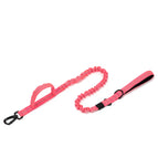 Pink Leash / M (36-48CM)