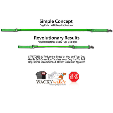 Shorter No Pull Leash - Urban Walk'r