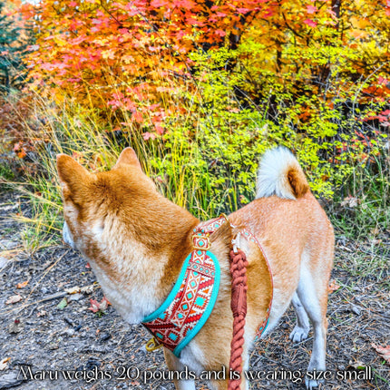 Southwest Spirit Harness
