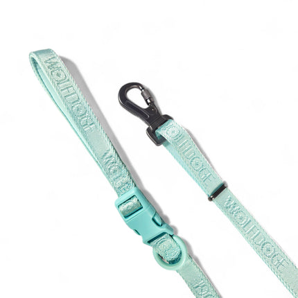 Wolfdoge Signature Leash