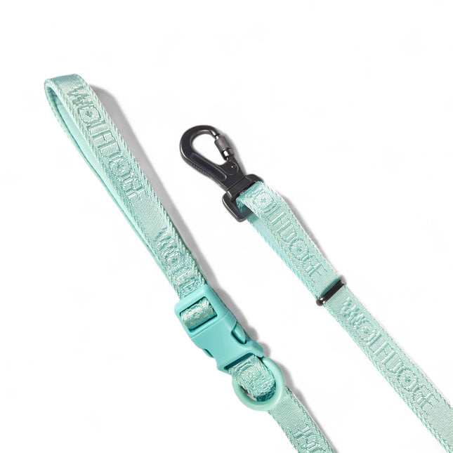 Wolfdoge Signature Leash