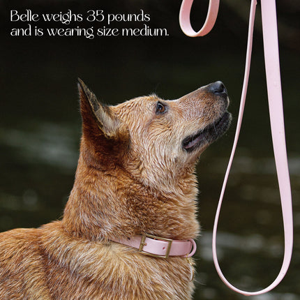 Waterproof Collar