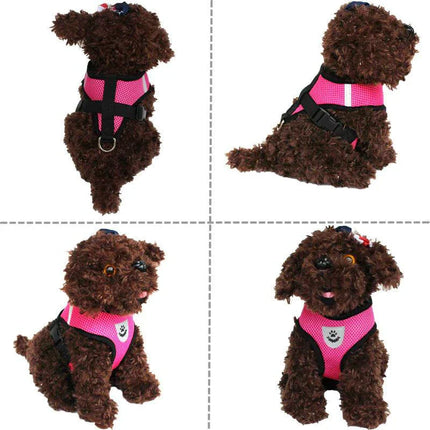 Adjustable Reflective Pet Harness with Leash