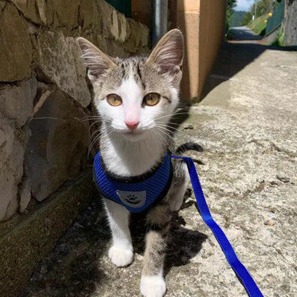 Adjustable Reflective Pet Harness with Leash