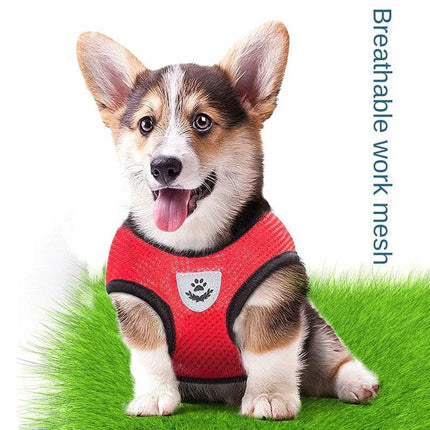 Adjustable Reflective Pet Harness with Leash