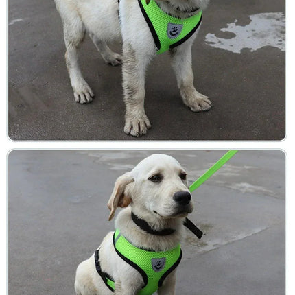Adjustable Reflective Pet Harness with Leash