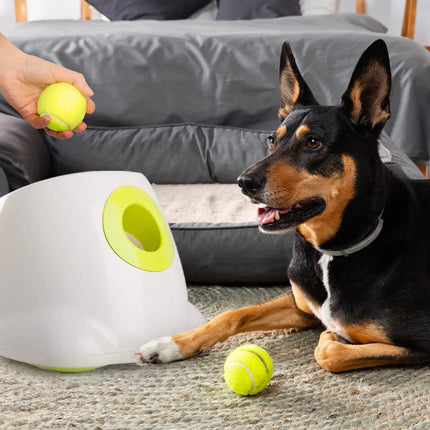 Maxi Hyper Fetch Automatic Ball Launcher For Large Dogs