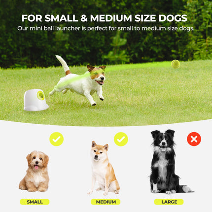 Mini Hyper Fetch Automatic Ball Launcher For Small Dogs