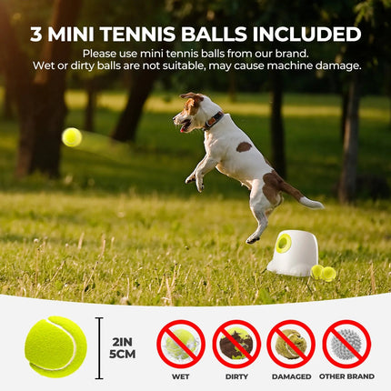 Mini Hyper Fetch Automatic Ball Launcher For Small Dogs