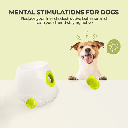 Mini Hyper Fetch Automatic Ball Launcher For Small Dogs