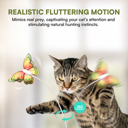 Motion Activated Cat Toy 3 in 1