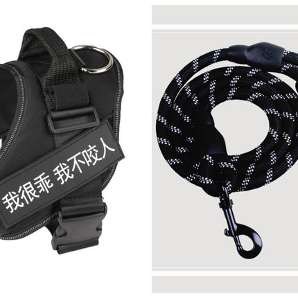 Fashion Simple Pet Leash Chest Strap Set
