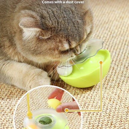 Cat Tumbler Toy Ball