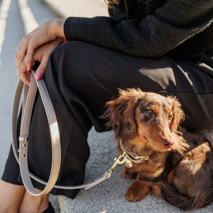 Collar - Vegan Leather