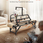 Non-Electric / Large Dog L