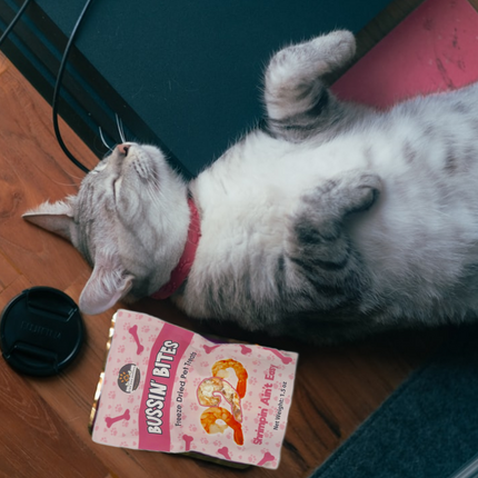 Single Ingredient, High Value Freeze-Dried Training Treats for Dogs & Cats - Shrimp