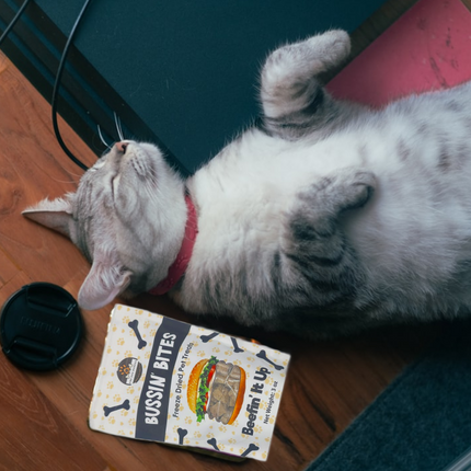 Single Ingredient, High Value Freeze-Dried Training Treats for Dogs & Cats - Beef Liver