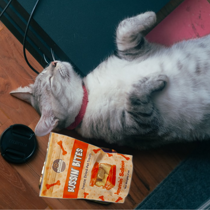 Single Ingredient, High Value Freeze-Dried Training Treats for Dogs & Cats - Salmon