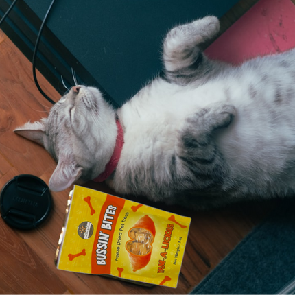 Single Ingredient, High Value Freeze-Dried Training Treats for Dogs & Cats - Sweet Potato