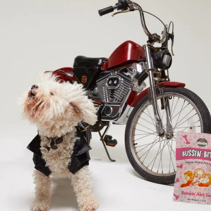 Single Ingredient, High Value Freeze-Dried Training Treats for Dogs & Cats - Shrimp