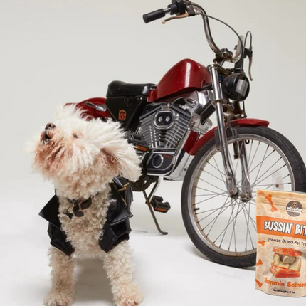 Single Ingredient, High Value Freeze-Dried Training Treats for Dogs & Cats - Salmon