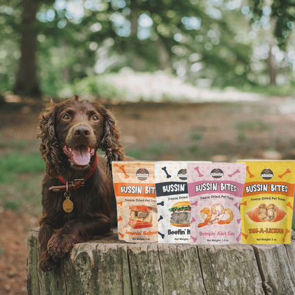 Single Ingredient, High Value Freeze-Dried Training Treats for Dogs & Cats - Beef Liver