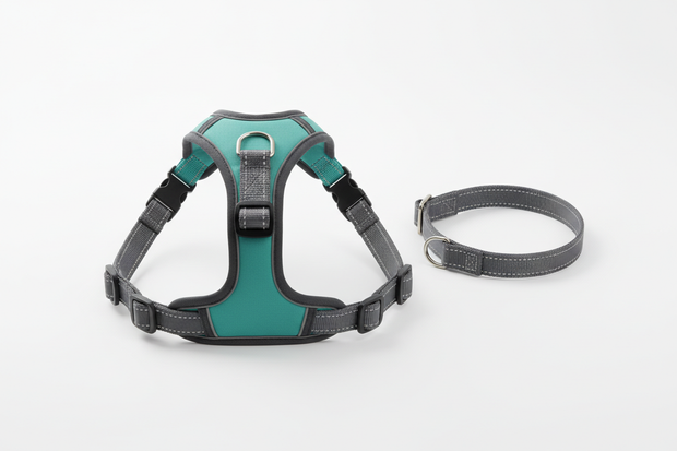 dog harness and collar
