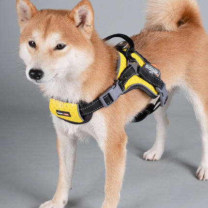 Dog Helios ® 'Scorpion' Sporty High-Performance Free-Range Dog Harness