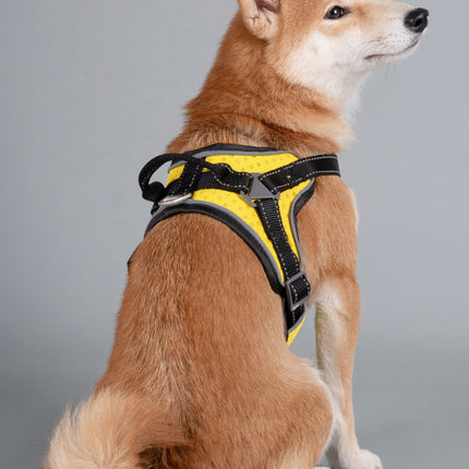 Dog Helios ® 'Scorpion' Sporty High-Performance Free-Range Dog Harness