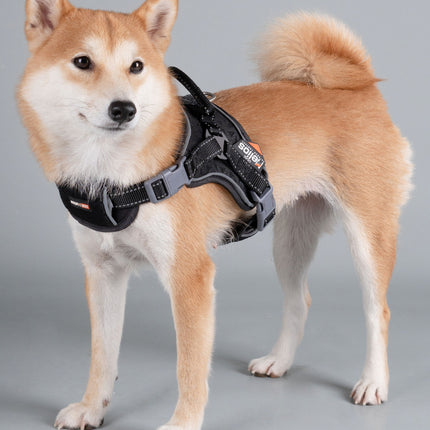 Dog Helios ® 'Scorpion' Sporty High-Performance Free-Range Dog Harness