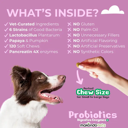 Dog Probiotics Digestive Enzymes - 120 Soft Chews